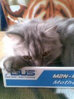 фото с телефона 082.jpg