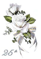 белая роза.jpg