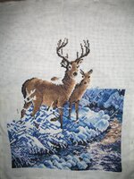 Изображение 027.jpg