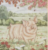 DMC K3007 Pleased Whith Myself.jpg