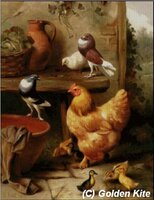 780 A Chiken, Doves, Pigeones and Duckling.jpg