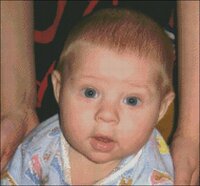 СТЕПА схема.jpg