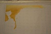 мандаринка 1.jpg