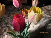 Изображение 2609.jpg