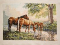 IMG_1278 копия.jpg