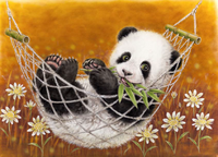 Hammock Panda Yellow.png