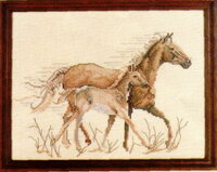 Horses from Lanarte.jpg
