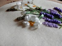 2014-05-29 09-25-52.jpg