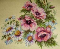 ромашки-маки .jpg