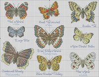 Butterfly sample с текстомr.jpg