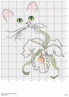 LA Cat Green Eyes & Orchid.jpg