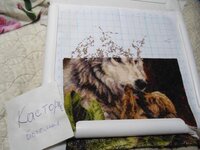 Девочка Енот 12.04.15.jpg