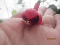 Изображение 837.jpg