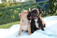 IMG_6697 - копия.jpg