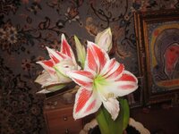 Изображение 1686.jpg