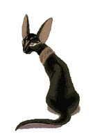 Египетская кошка.jpg