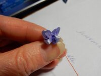 2016-01-19 16-56-22.jpg