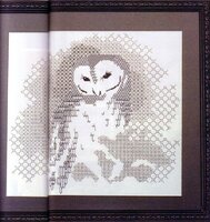 сова01.jpg