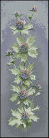 Heritage JCSH470-Sea_Holly.jpg