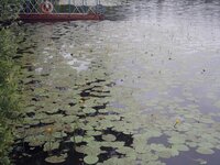 Изображение 011.jpg