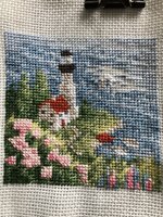 IMG_3542 (480x640).jpg