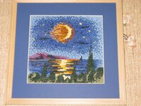 Ночь. Удочка.JPG