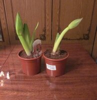 Изображение 1624.jpg