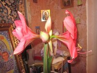 Изображение 1688.jpg