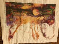 Фото 31.05.16, 23 15 44.jpg