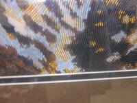 Изображение 543.jpg