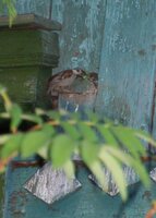 Изображение 068.jpg