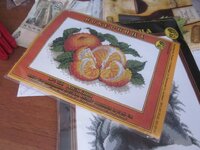 Изображение 31255.jpg