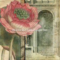 Secret Garden AS.jpg