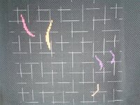 2013-12-17 20.23.37.jpg