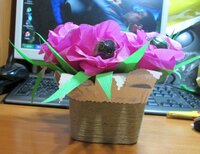 мастер класс (71).jpg