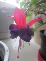 Изображение 522.jpg