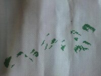 семира - 01.jpg