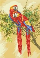 ChM C-174 Parrots.jpg