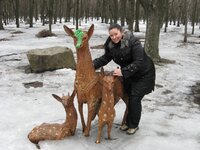 Rozovaya_Pantera 3.jpg