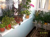 Последнее 010.jpg