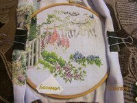 Изображение 2542.jpg