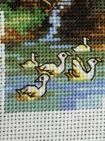 Файл 11.11.2017, 15 16 56.jpg