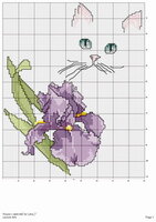 LA Cat Blue Eyes & Iris.jpg