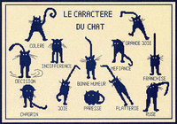 Anagram- caractere de chat.gif