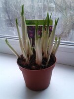 2014-03-04 10.55.07.jpg