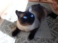 2014-06-24 10-48-18 (2).jpg