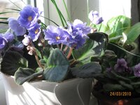 Изображение 005.jpg