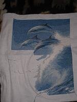 дельфины 1.jpg