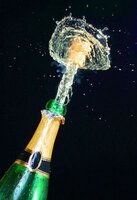 Брызги шампанского.jpg