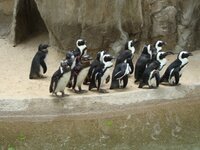 наша родня.jpg